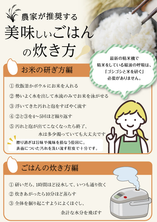 稲波の呼吸のお米【しふくのみのり】