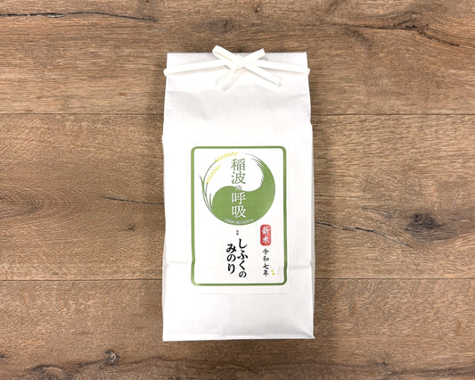 稲波の呼吸のお米【しふくのみのり】